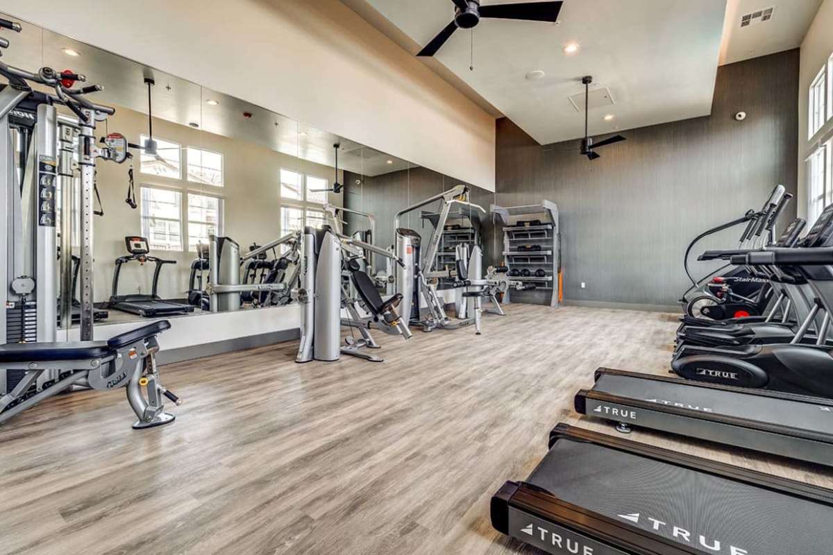 Gym equipment at Ageno Apartments in Livermore, California 