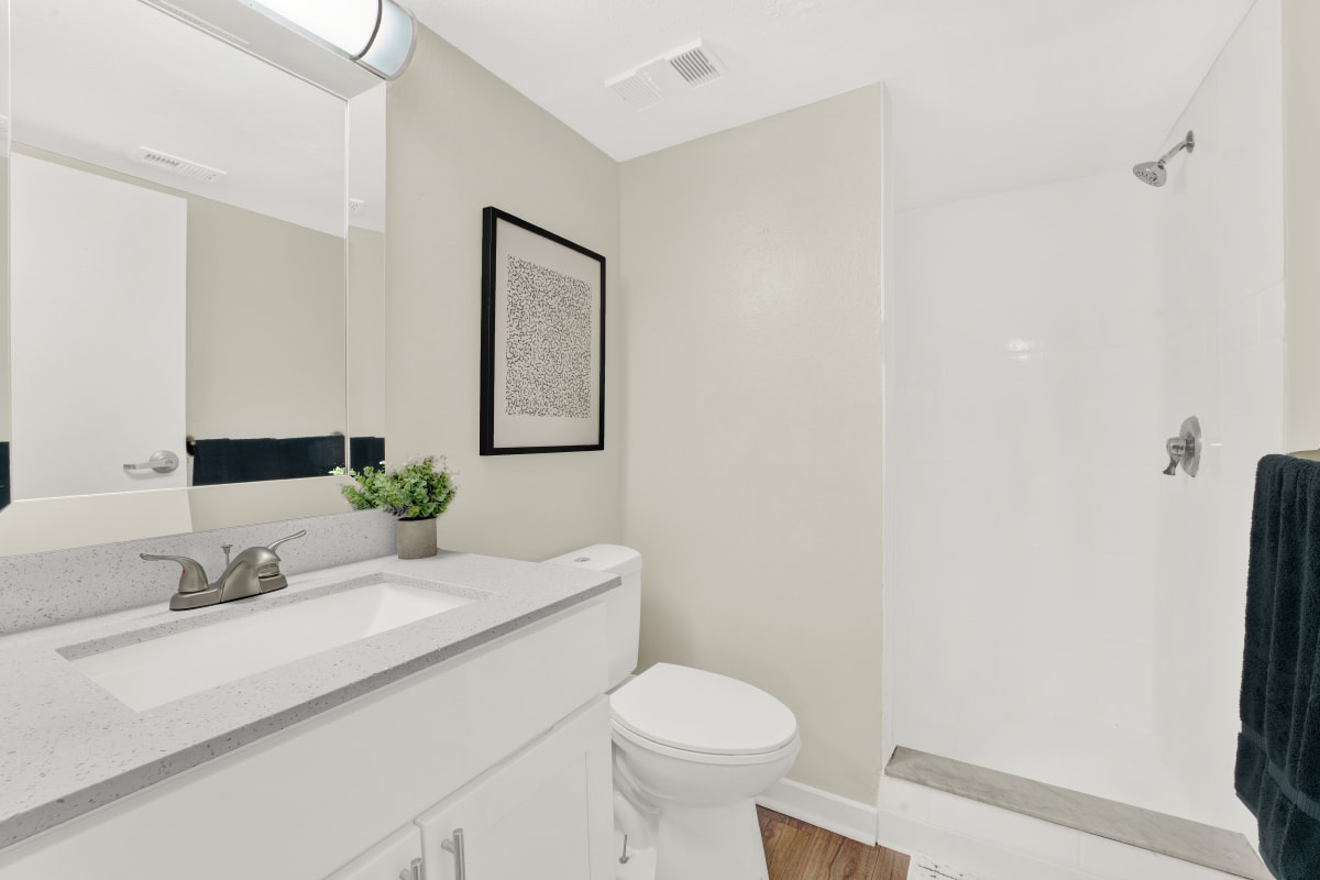 Our Modern Apartments in Tampa, Florida showcase a Bathroom