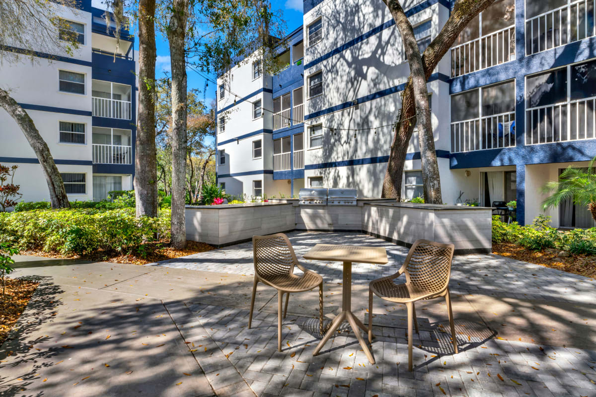 Modern Apartments with a Patio in Tampa, Florida