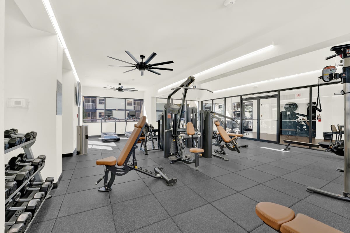 Our Modern Apartments in Tampa, Florida showcase a Fitness Center