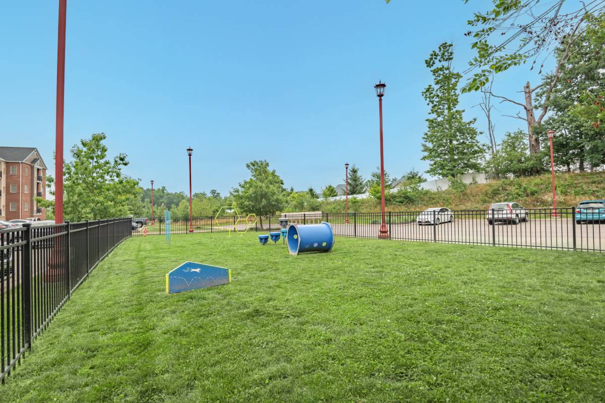 fenced dog park with agility equipment