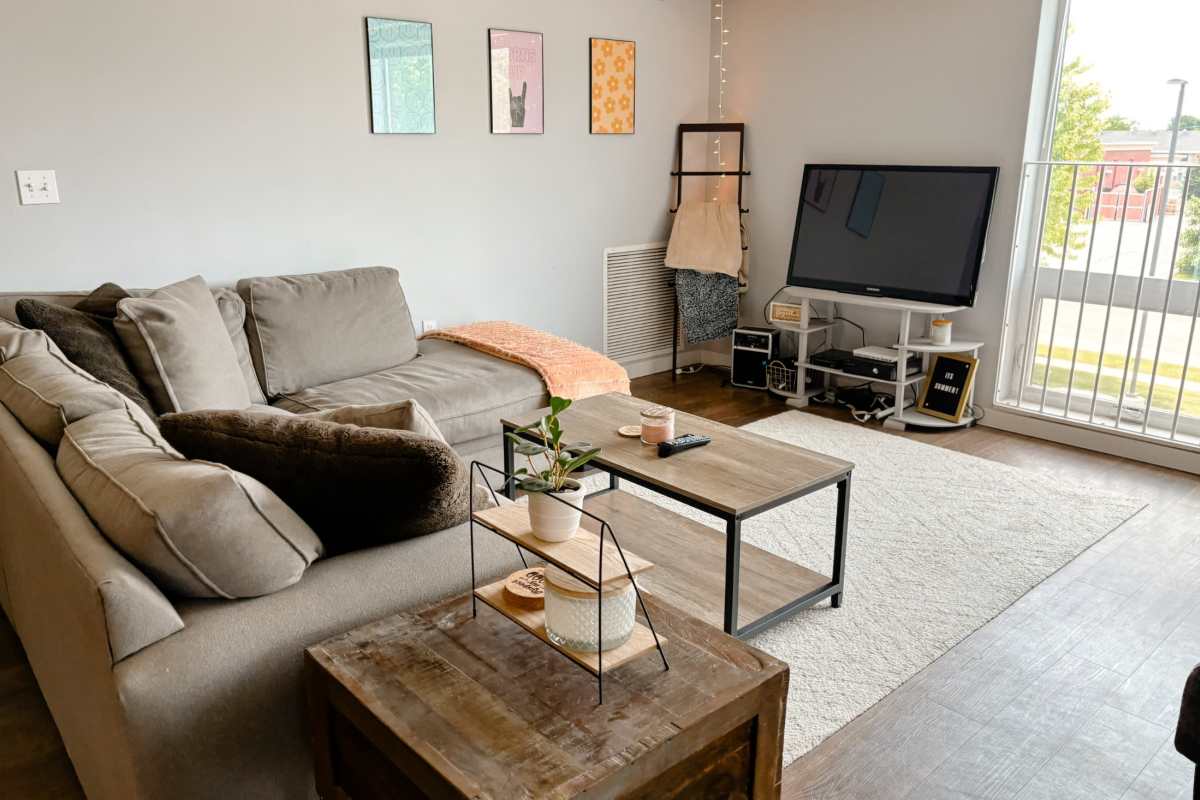 Living room with large area rug, brown sofa, and television at Lofts @ 1633 in Mankato, Minnesota