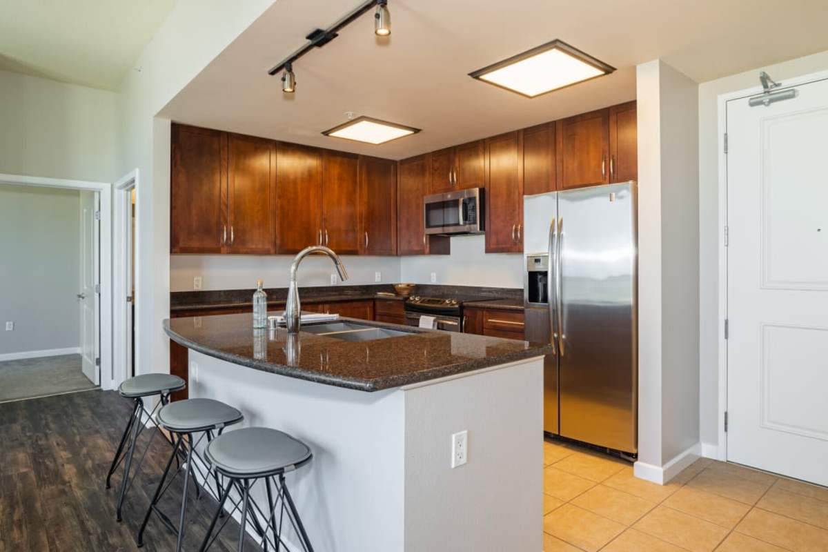 View amenities like our gourmet kitchens at Penthouses at Capitol Park in Sacramento, California