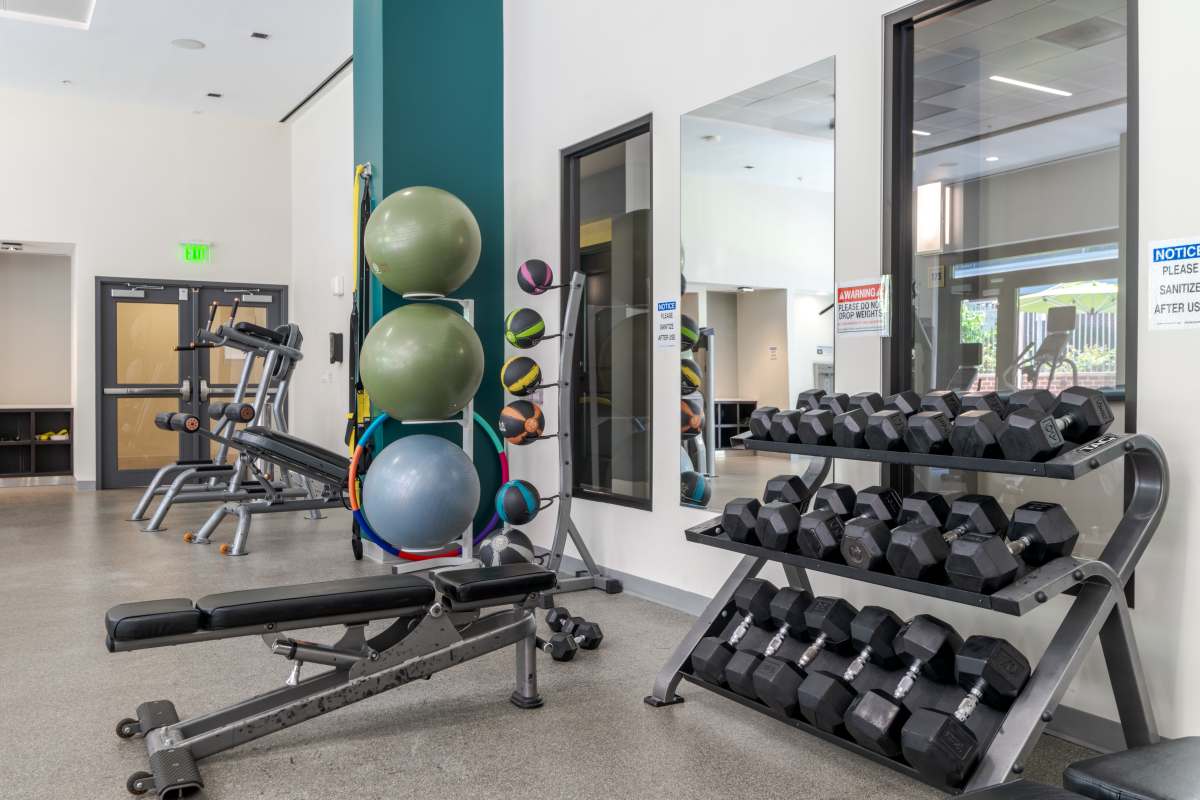 A gym with weights and balls at The Tala at Washington Hill in Baltimore, Maryland