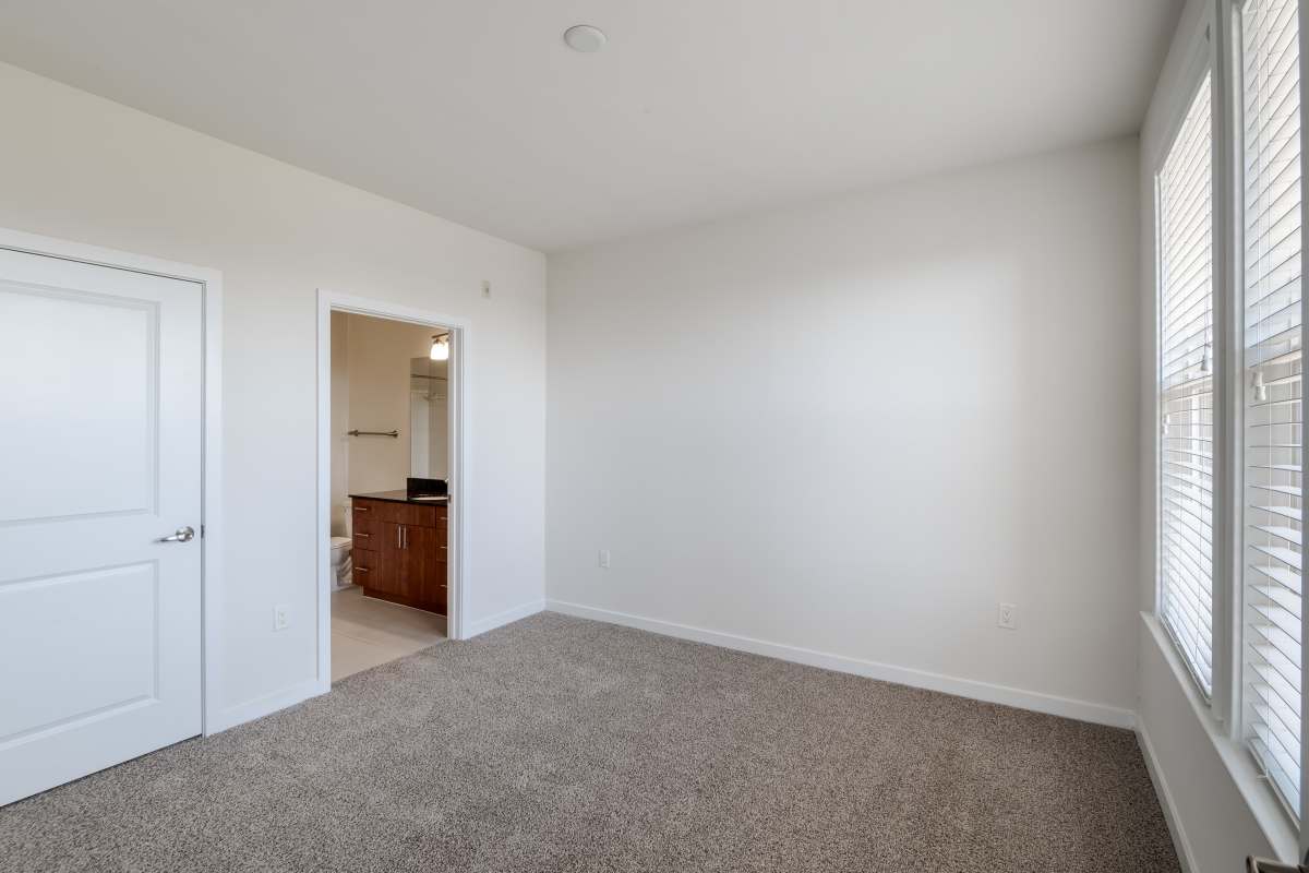 A room with a white wall and a brown carpet at The Tala at Washington Hill in Baltimore, Maryland