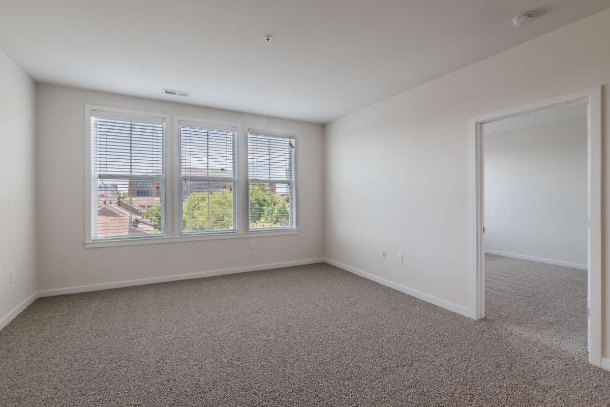 A room with a door open and windows at The Tala at Washington Hill in Baltimore, Maryland