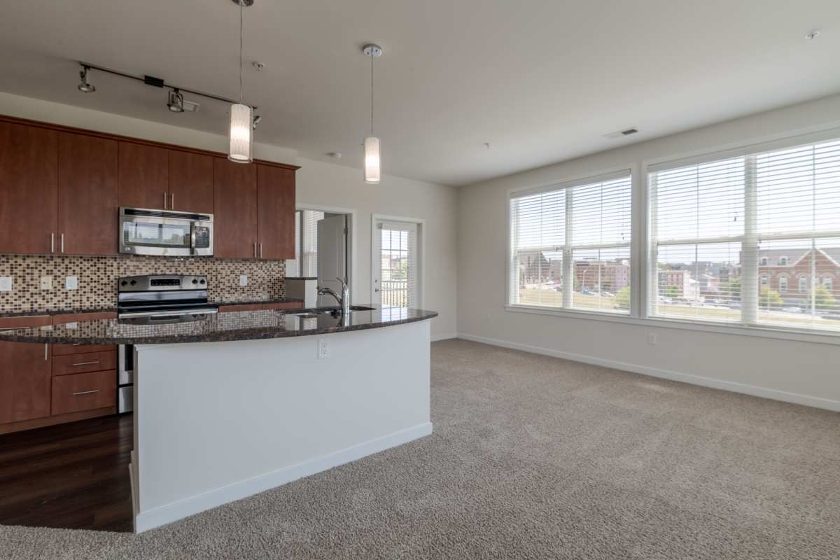 A kitchen and living room with carpet at The Tala at Washington Hill in Baltimore, Maryland