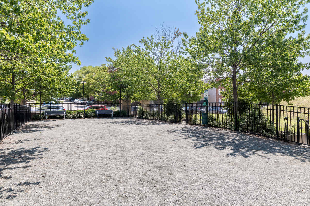 A gravel driveway with trees and a fence at The Tala at Washington Hill in Baltimore, Maryland