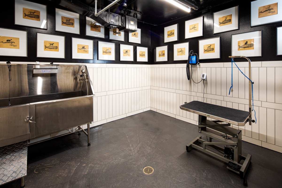 Dog washing stations at The Eastern in Raleigh, North Carolina