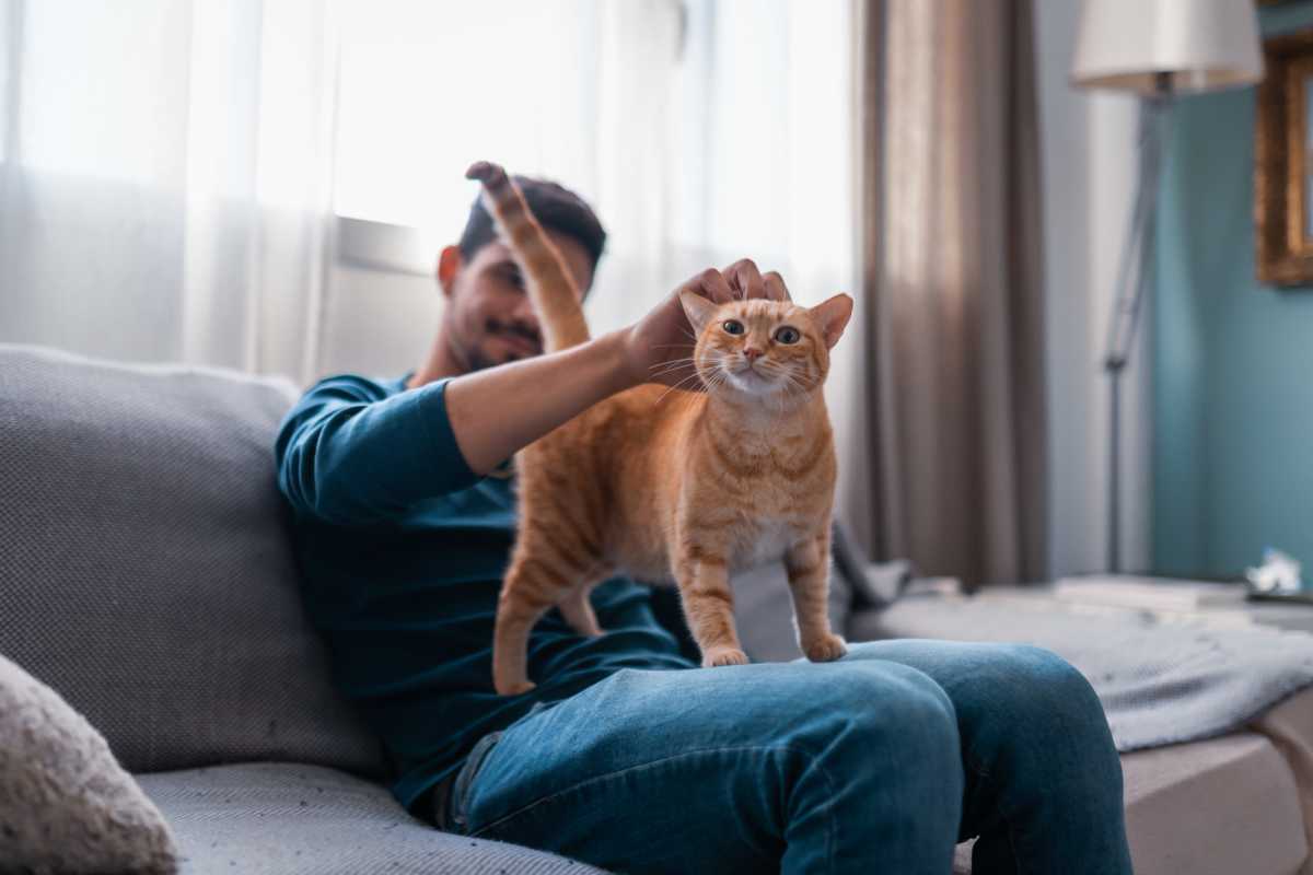 Residents carrying cat at The Cameron in Portland, Oregon