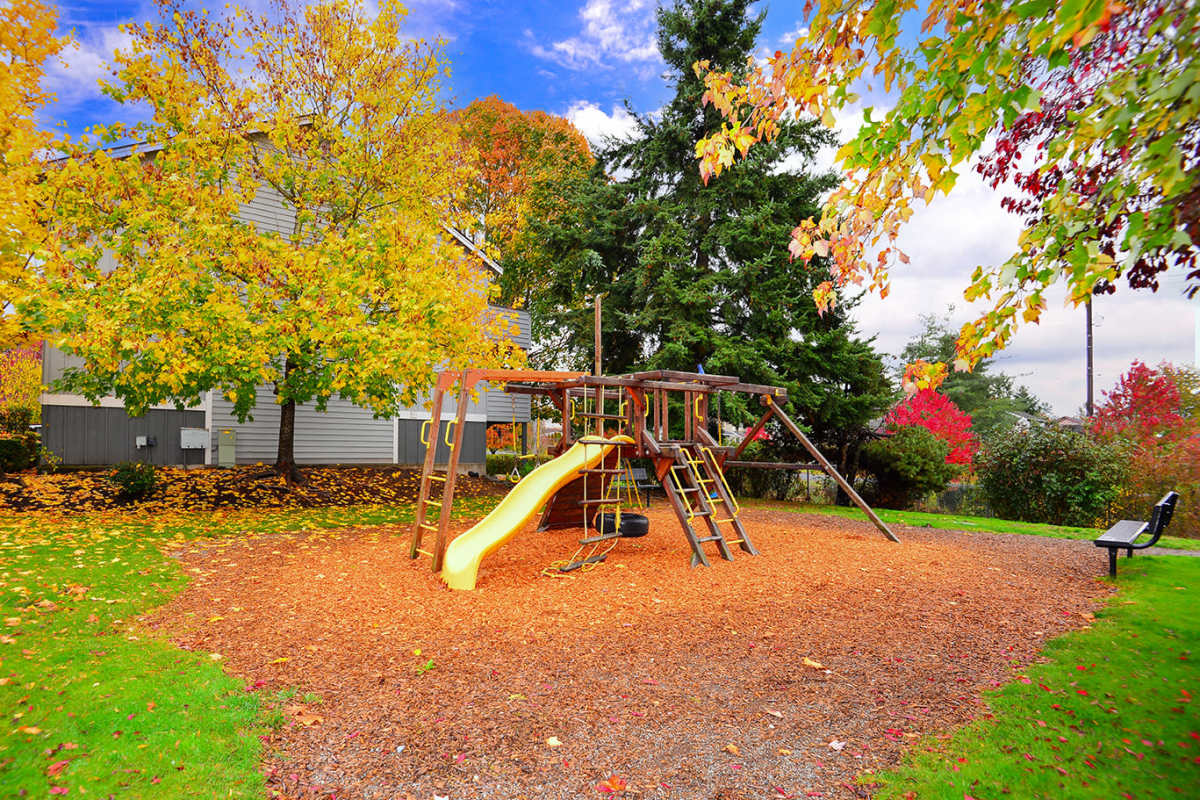 Playground with slides at Briarstone in Tacoma, Washington