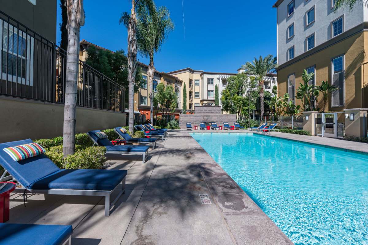 Swimming pool with palm tree surround at The Boulevard Apartment Homes in Woodland Hills, California 