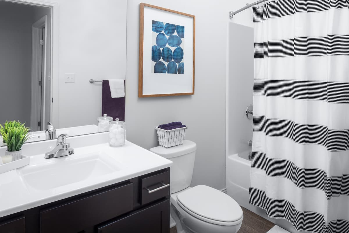 Bright bathroom at Brookside Downtown in Columbia, Missouri, 