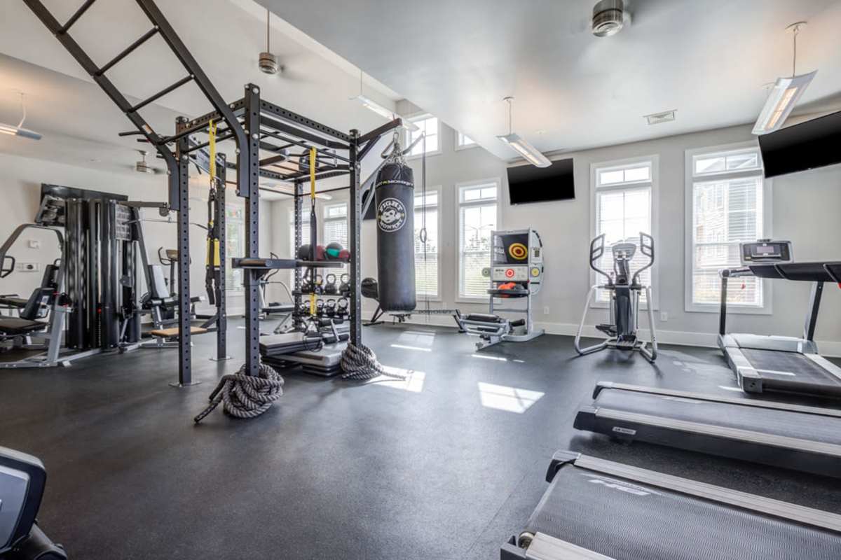 A gym room featuring multiple treadmills and various exercise equipment arranged for workouts vat Century Park Place in Morrisville, North Carolina