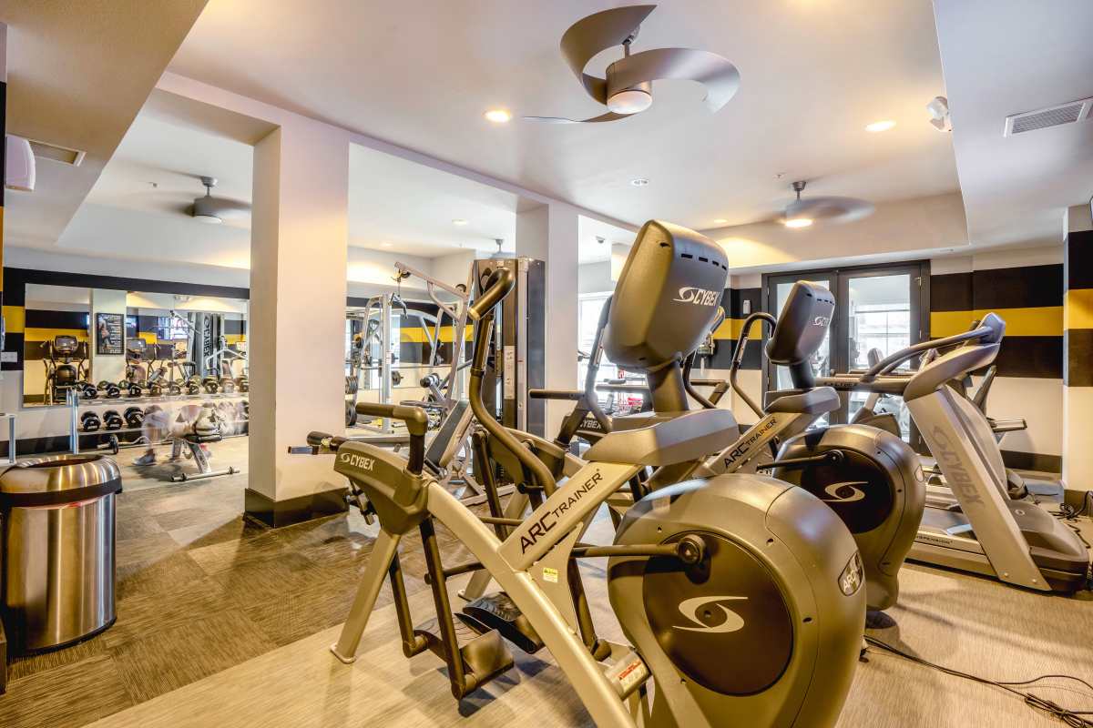 Gym at The Den in Columbia, Missouri