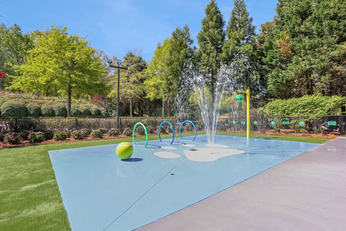 Aqua Dog Park at Harbor Creek Apartments, Canton, Georgia