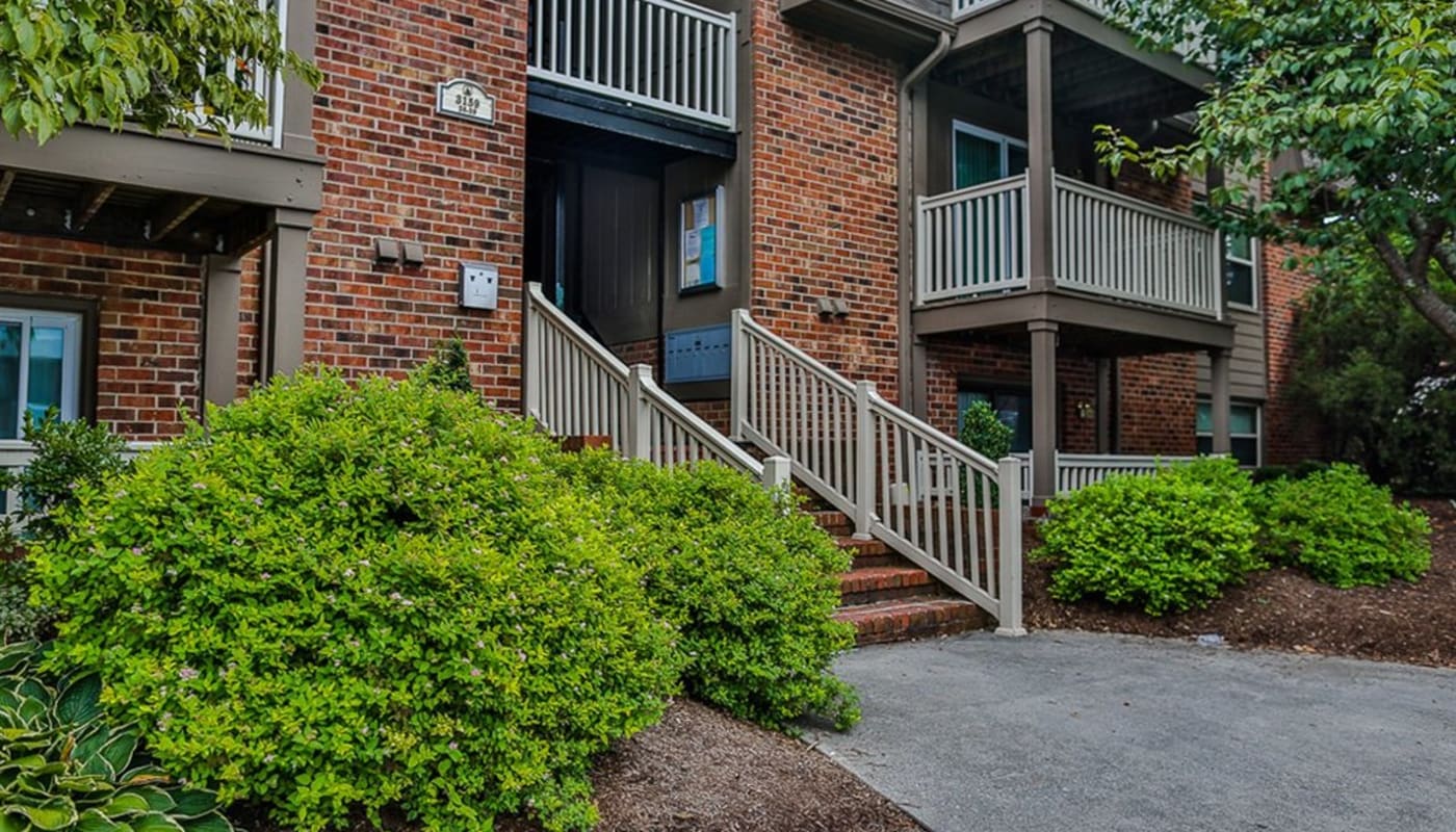 Stairs leading into Cedar Point in Roanoke, Virginia