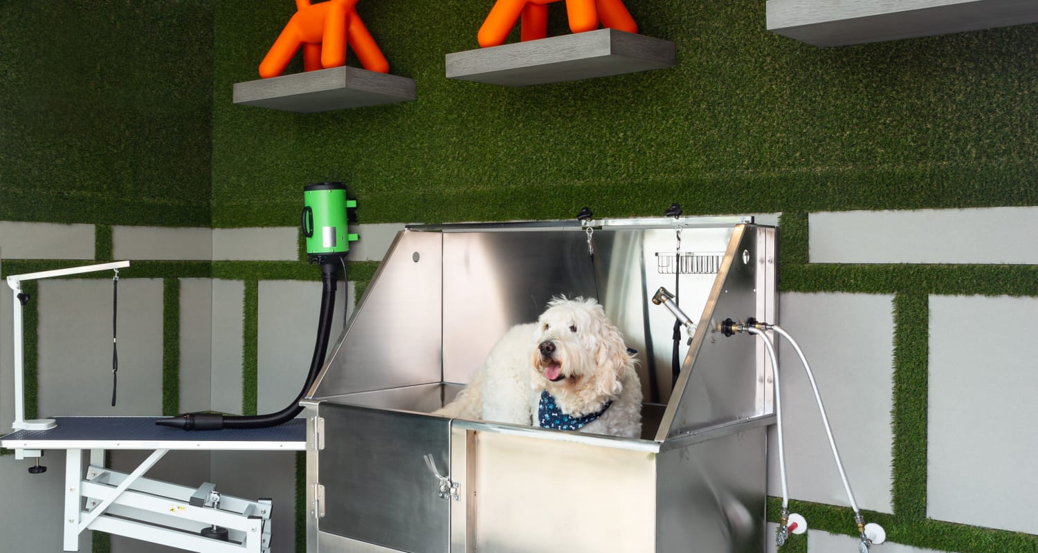 Dog washing station at FalconView