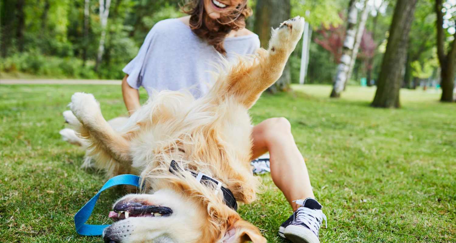 Woman and dog playing in green grass Tapestry Homes in Hickory, North Carolina