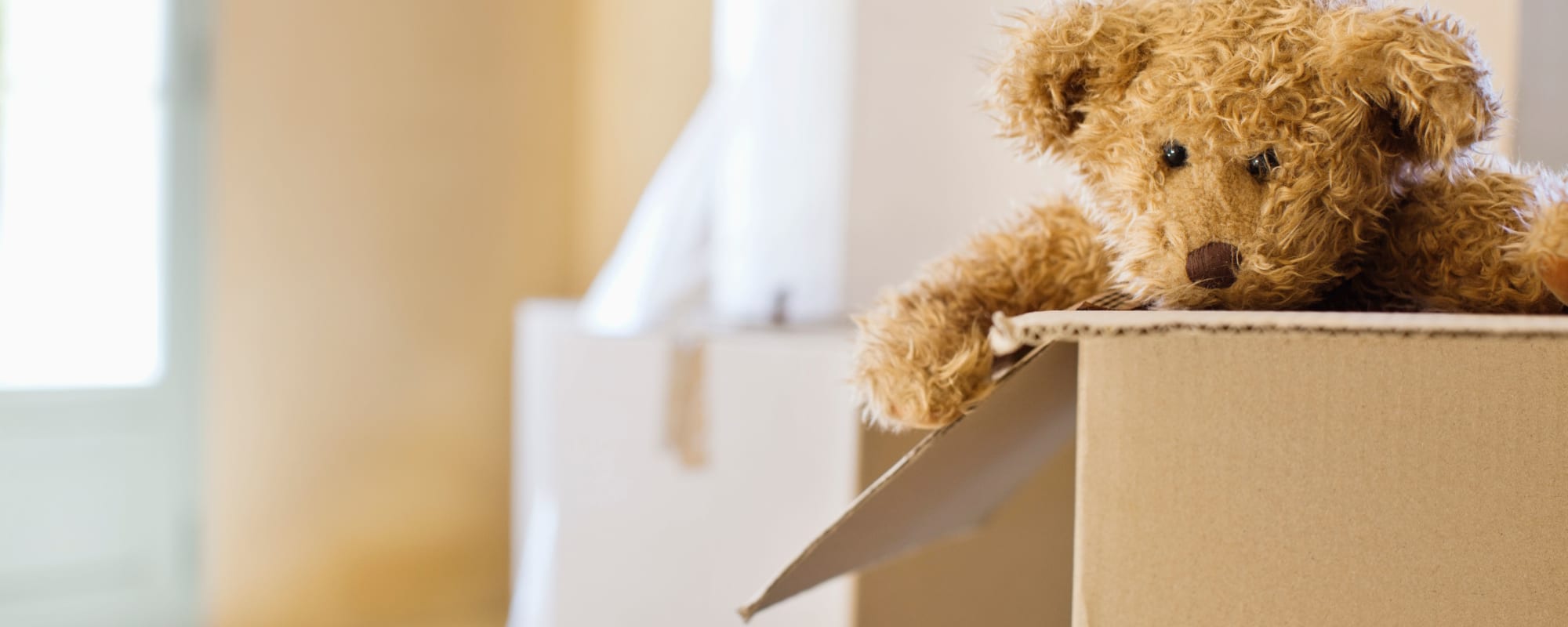 a teddy bear being unpacked from a box at Sandpiper Crescent in Virginia Beach, Virginia