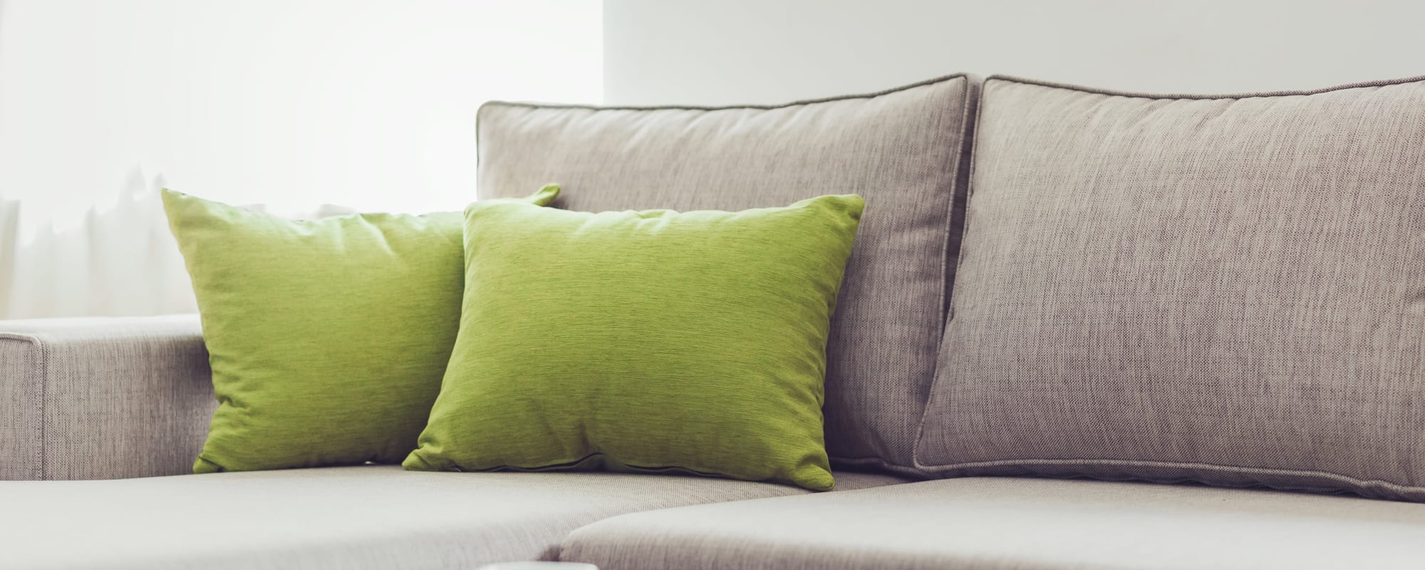 a gray couch with green pillows at Longshaw Road in Annapolis, Maryland
