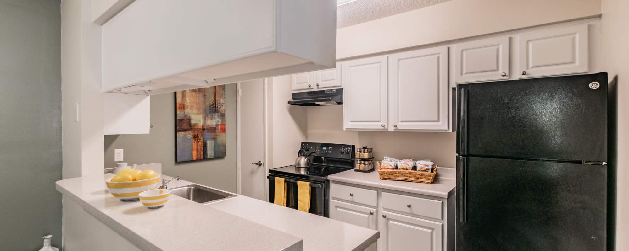 Apartments at Legend Oaks in Tampa, Florida