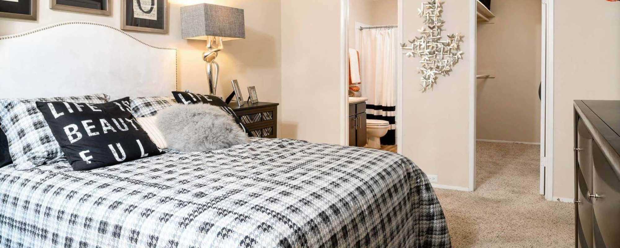apartments at Star Voss Apartments in Houston, Texas 