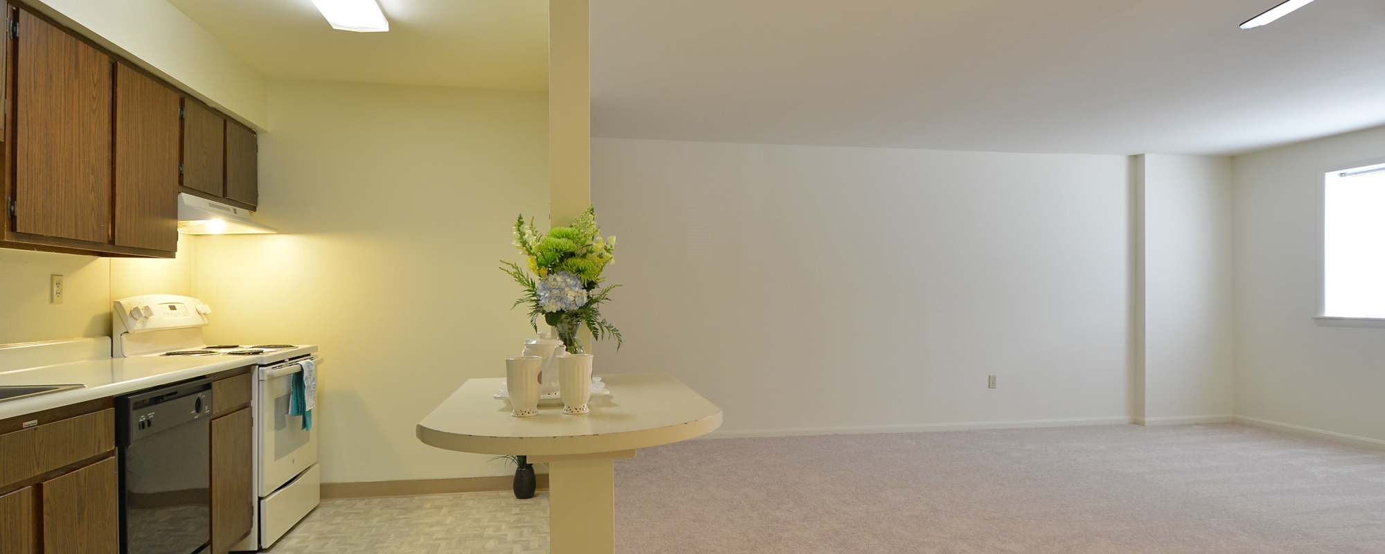 Modern kitchen at Parkside Apartments in Salisbury, Maryland