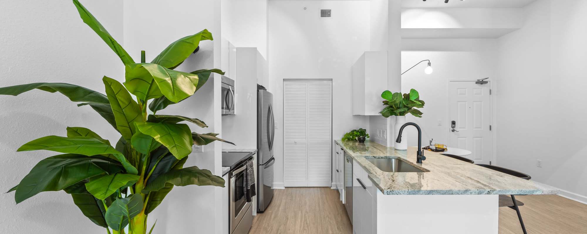 Lush house plants in an apartment kitchen at Cordoba in Doral, Florida