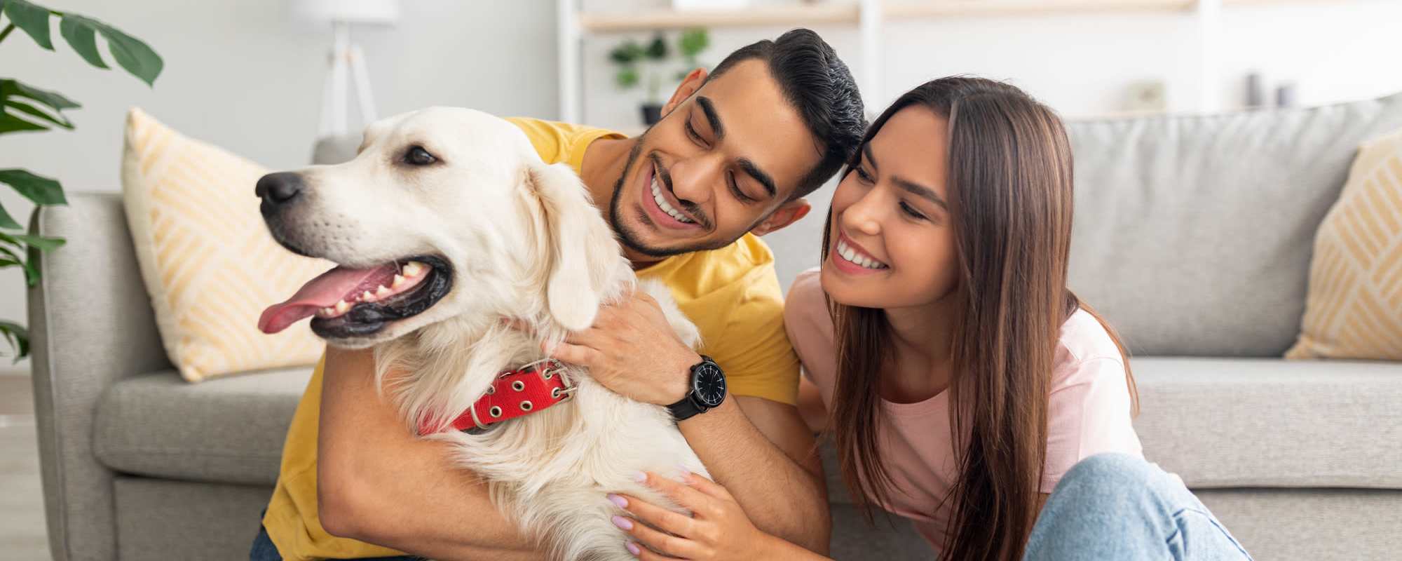 Apartments at Parkview Estates in Liberty City, Texas
