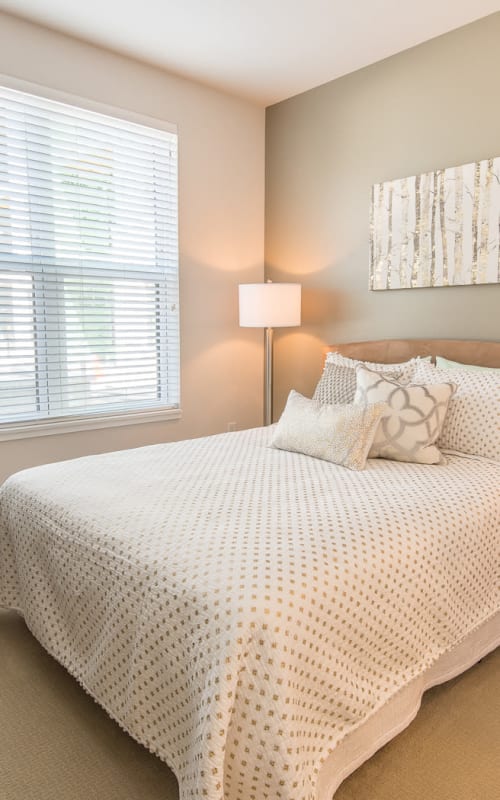 Large bedroom with tons of natural light at Mayfair Reserve in Wauwatosa, Wisconsin