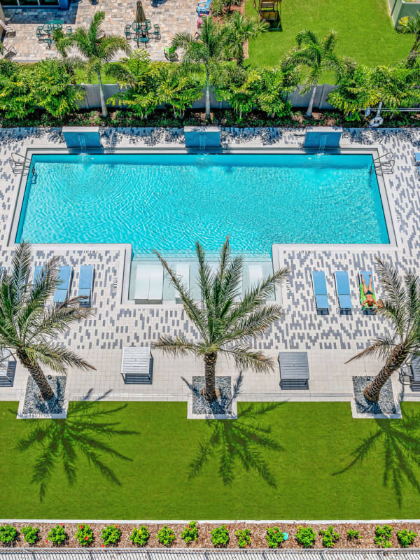 Pool at Elements on Third in St Petersburg, Florida