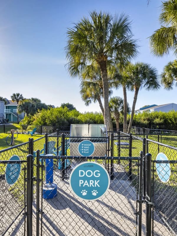 Our on-site dog park at The Delmar in Tampa, Florida