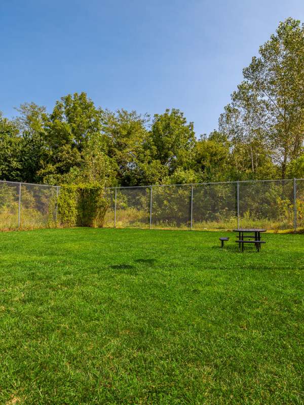 Dog park at Aspire at Bristol Park in Grain Valley, Missouri