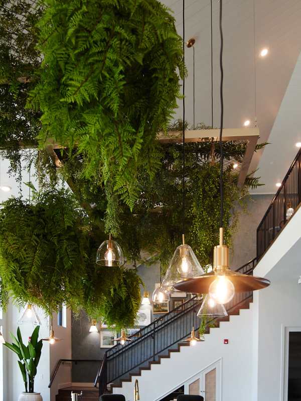 Plants and a small table