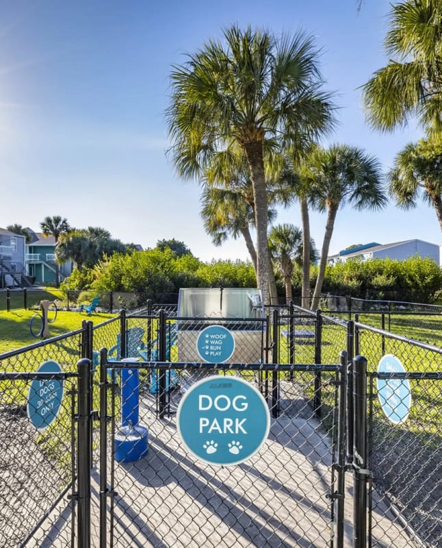 Dog park at The Delmar in Tampa, Florida