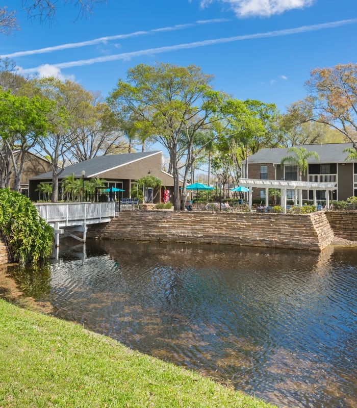 Beautiful view of on-property lake at Avion at Carrollwood