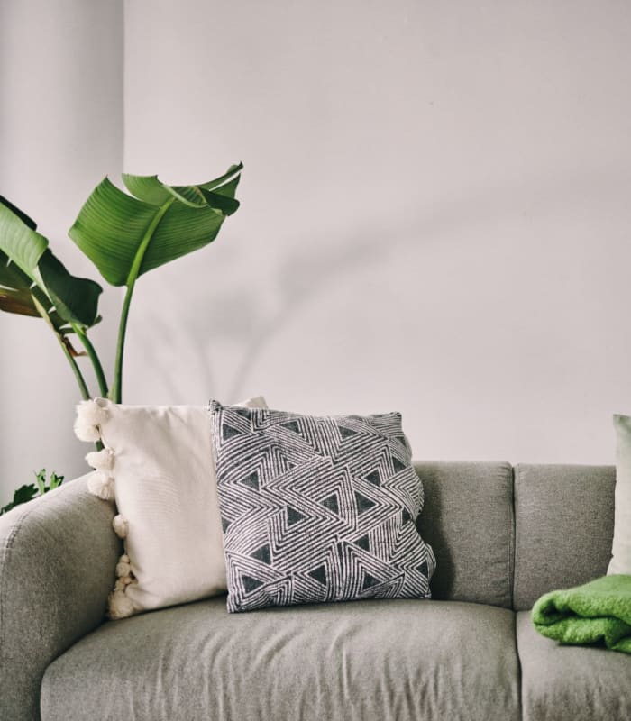 Model living space with green accents and plants at Chisholm Pointe in Oklahoma City, Oklahoma