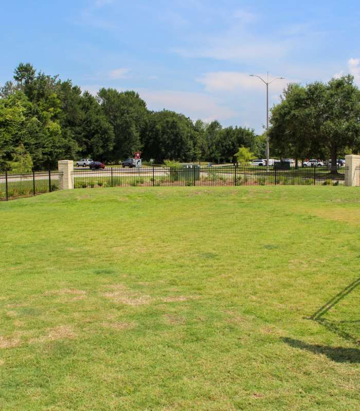 A cute dog at Silo Creek Apartments in Lafayette, Louisiana