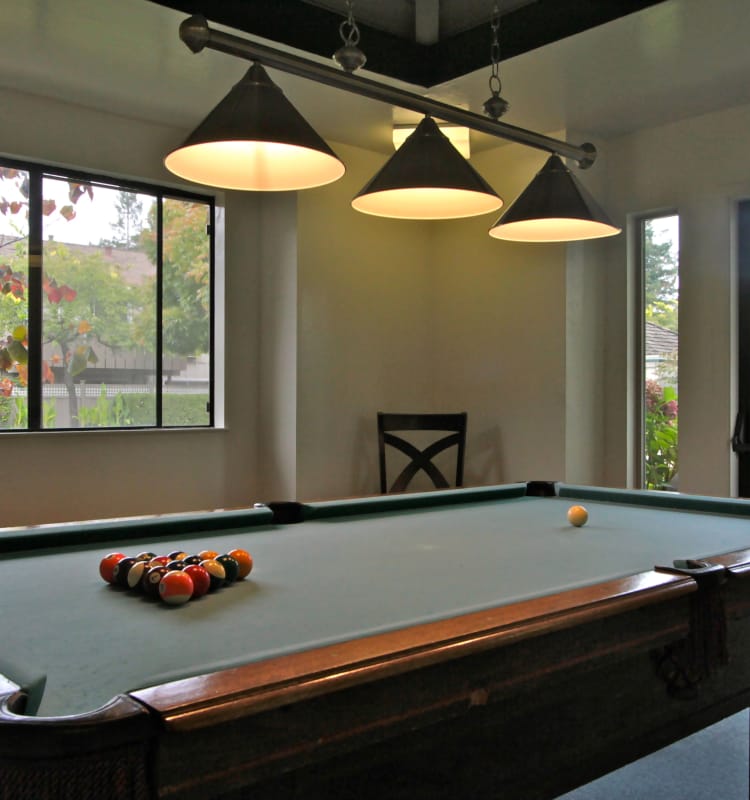 You'll love the community amenities at The Shadows Apartments!