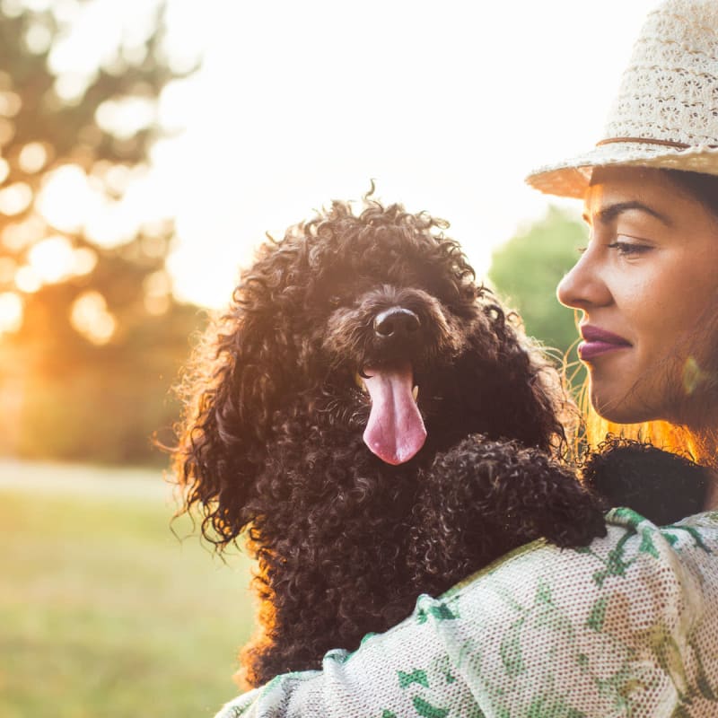 Woman holding puppy at the park near Harvest Station Apartments in Broomfield, Colorado