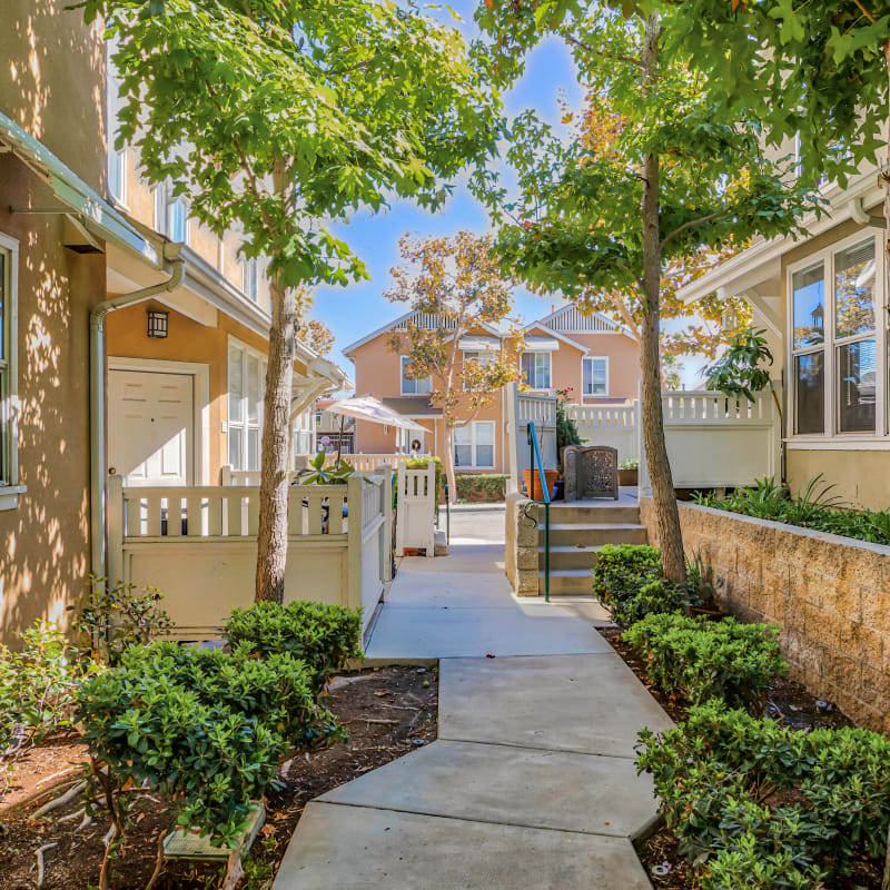 Sidewalk outside of Village Heights in Newport Beach, California