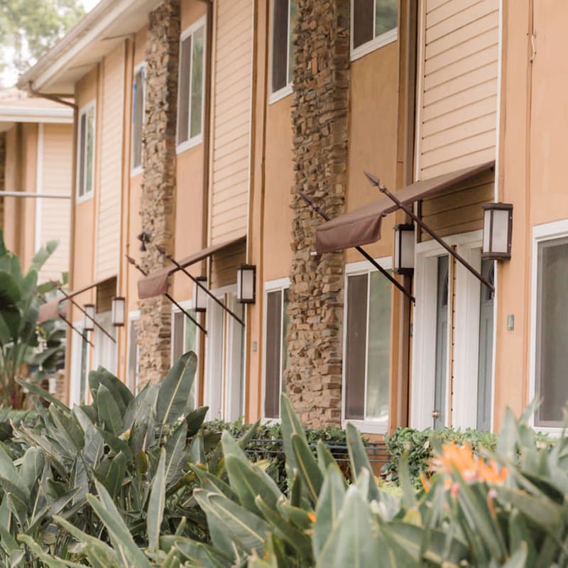 Apartment homes at Olive Tree in Costa Mesa, California