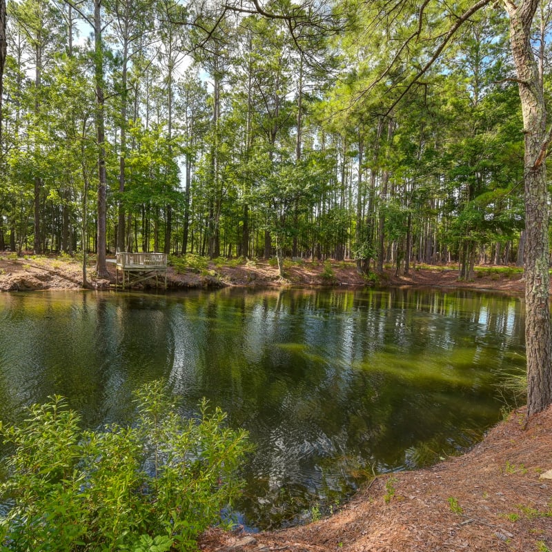 Nature path outside The Florence Presbyterian Community in Florence, South Carolina