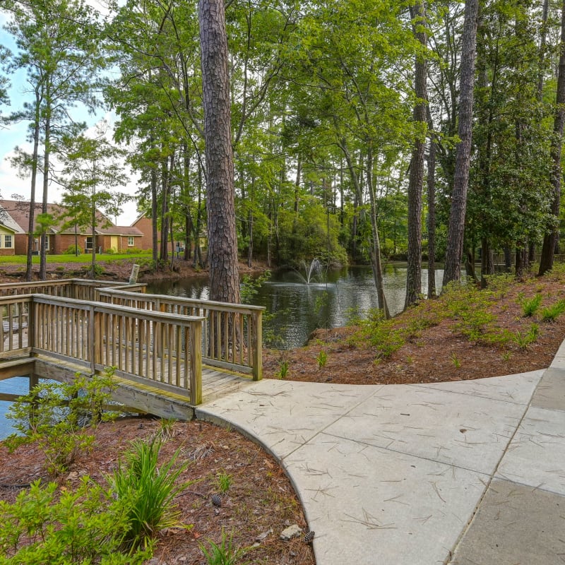 Paved walkway outside of The Florence Presbyterian Community in Florence, South Carolina