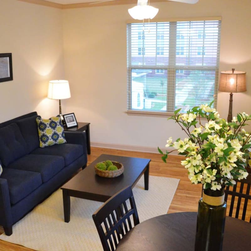 Model living space with blue accents at The Retreat at Renaissance in Charlotte, North Carolina