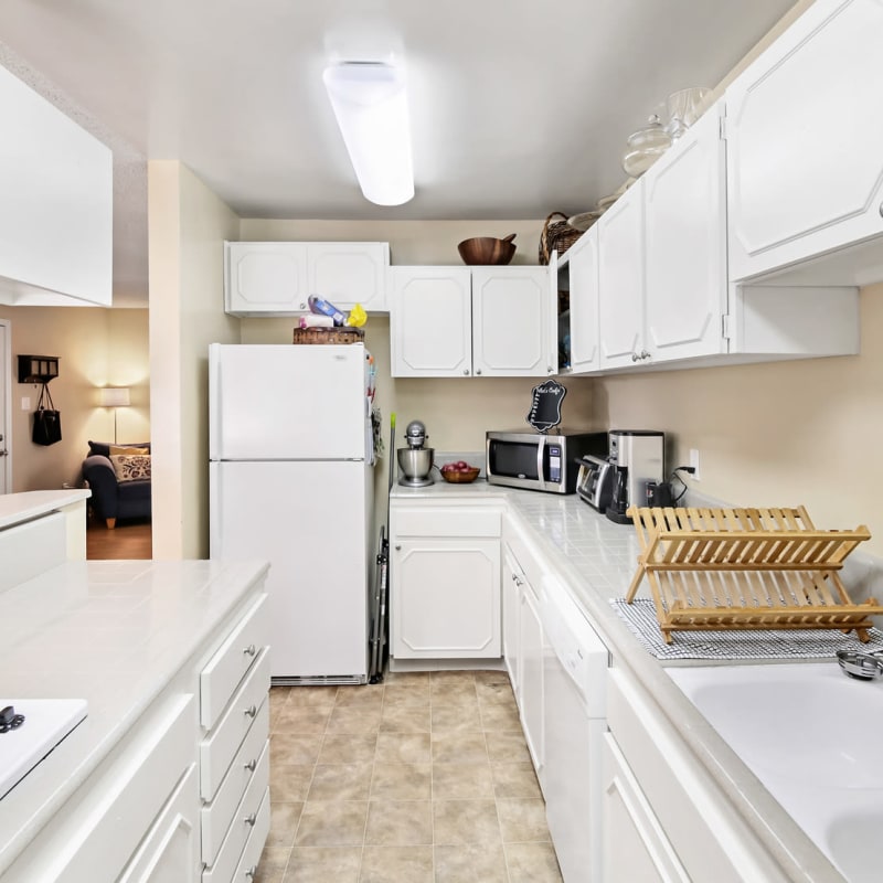 Apartment kitchen at Mango Tree in Santa Ana, California