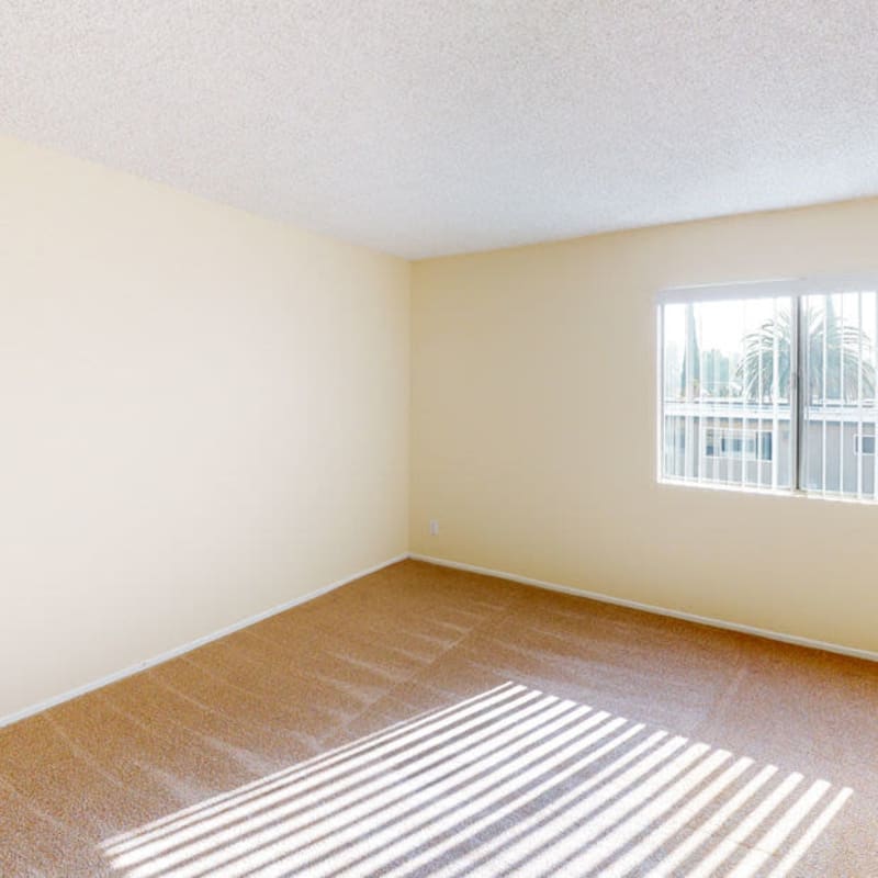 Natural light coming into a bedroom at Alpine Terrace Apartments in Canoga Park, California
