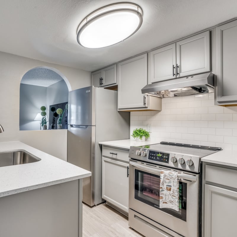 Kitchen with good lighting at Mateo Apartment Homes in Arlington, Texas