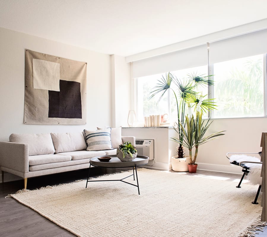 Modern Studio 1 Amp 2 Bedroom Apartments In St Petersburg Fl